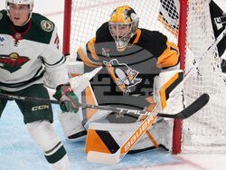 Wild Penguins Hockey