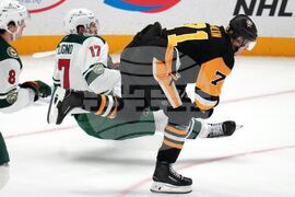 Wild Penguins Hockey