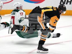 Wild Penguins Hockey