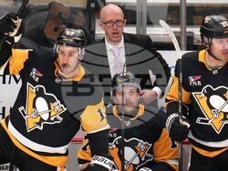 Wild Penguins Hockey