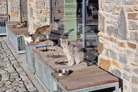 Боровец - зимен сезон - очакване