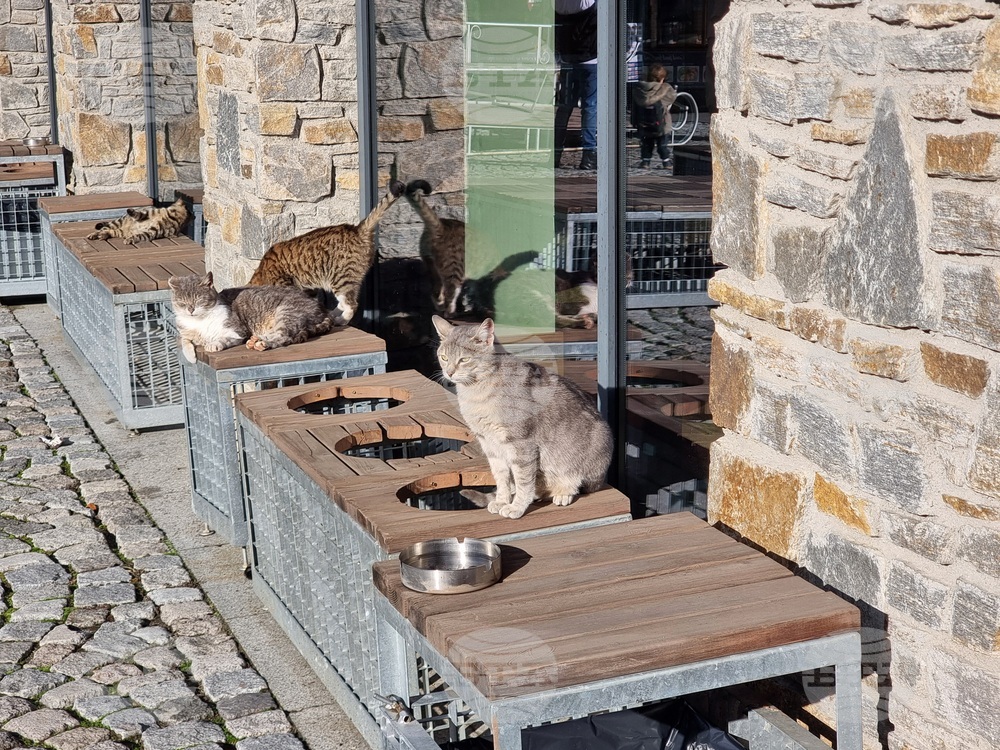 Боровец - зимен сезон - очакване