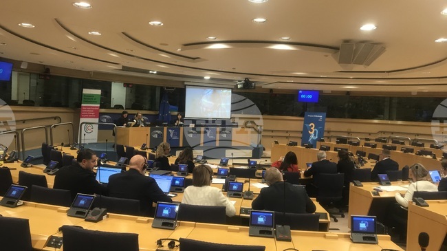 За рисковете от "дигитално изключване" предупреди омбудсманът Велислава Делчева, която участва в две европейски срещи за защита на правата на гражданите