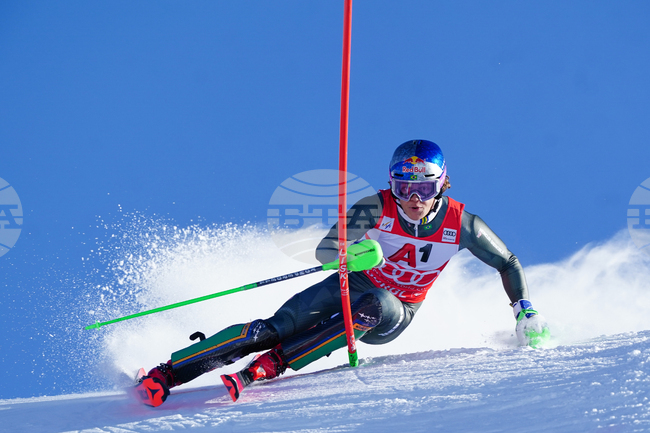 Austria Alpine Skiing World Cup