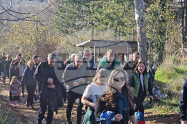 Стара Загора - Седми километър - залесяване