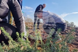 Стара Загора - Седми километър - залесяване