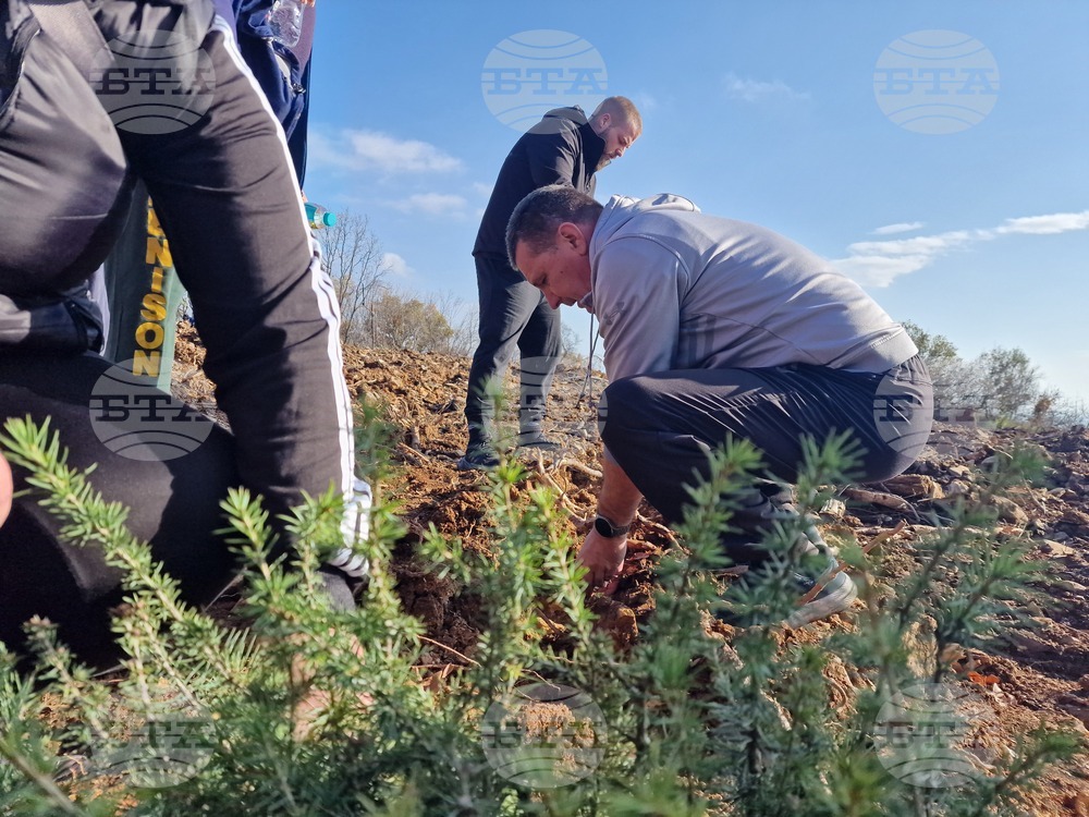 Стара Загора - Седми километър - залесяване