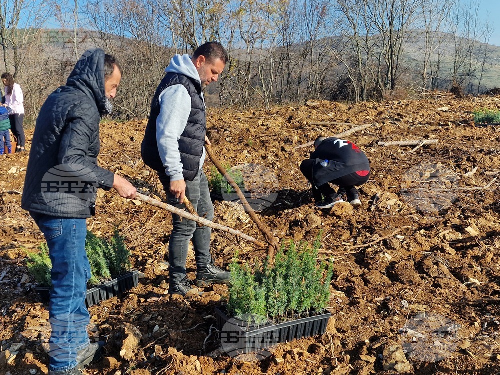 Стара Загора - Седми километър - залесяване