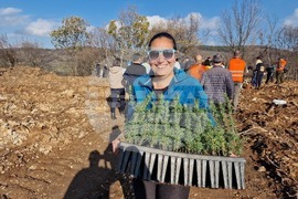 Стара Загора - Седми километър - залесяване