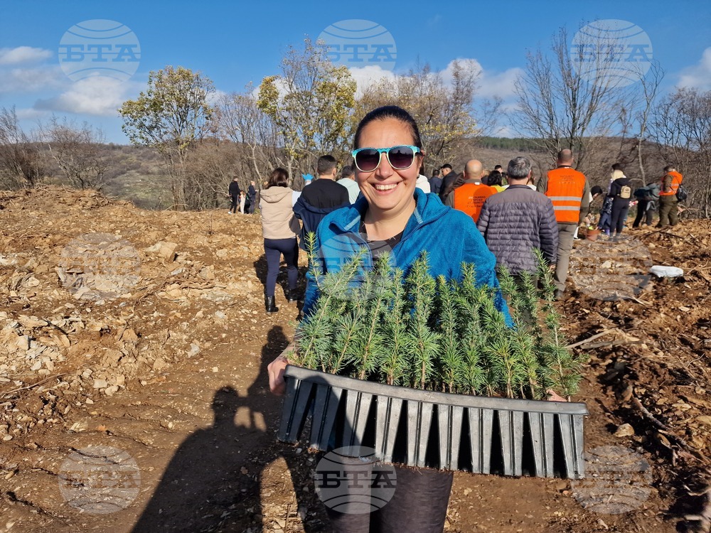 Стара Загора - Седми километър - залесяване