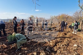 Стара Загора - Седми километър - залесяване