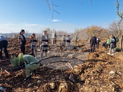 Стара Загора - Седми километър - залесяване