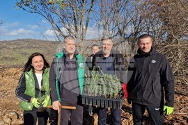 Стара Загора - Седми километър - залесяване