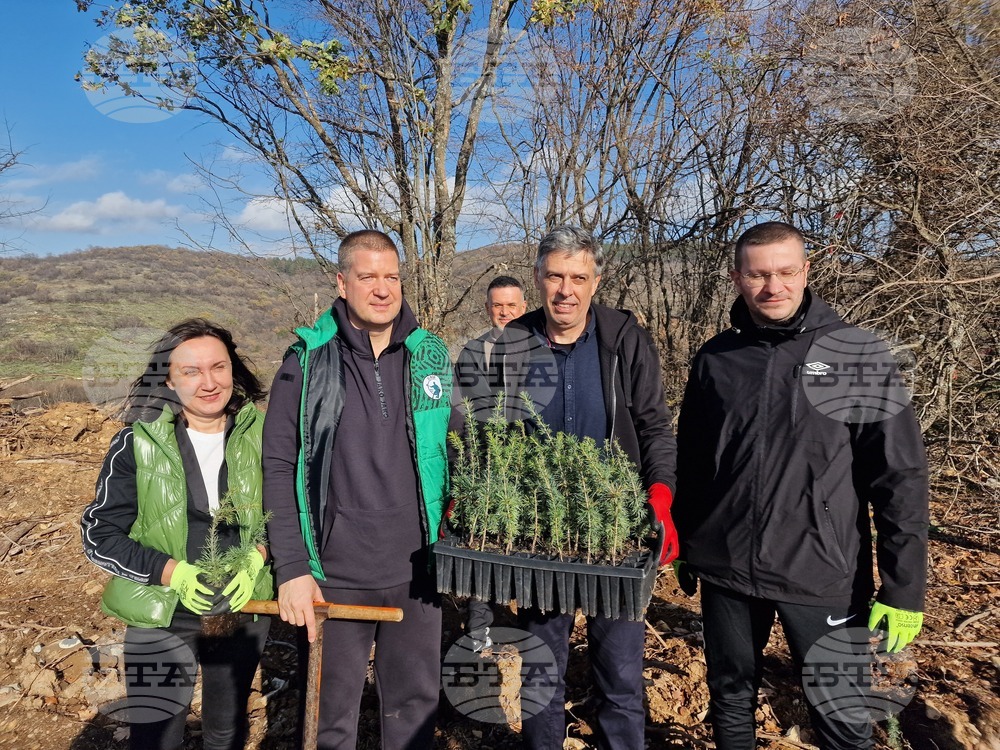 Стара Загора - Седми километър - залесяване