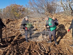 Стара Загора - Седми километър - залесяване
