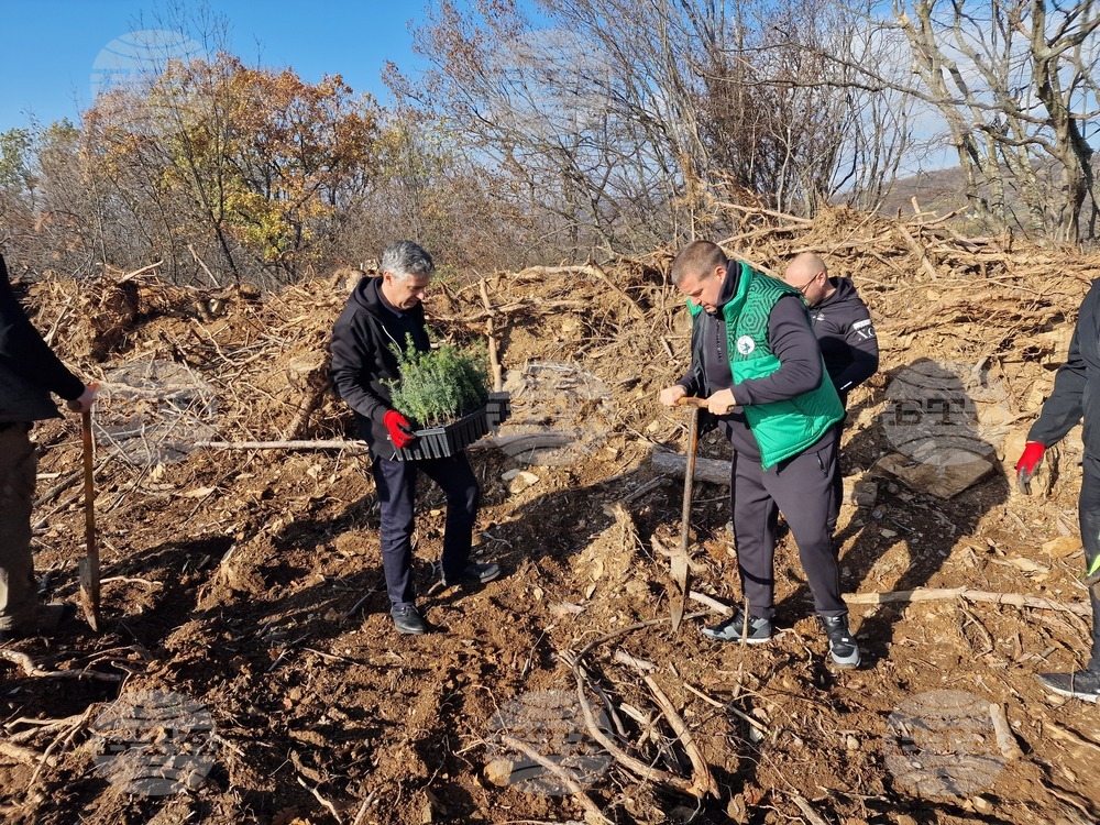 Стара Загора - Седми километър - залесяване
