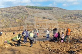 Стара Загора - Седми километър - залесяване