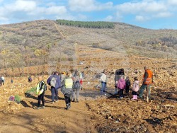 Стара Загора - Седми километър - залесяване