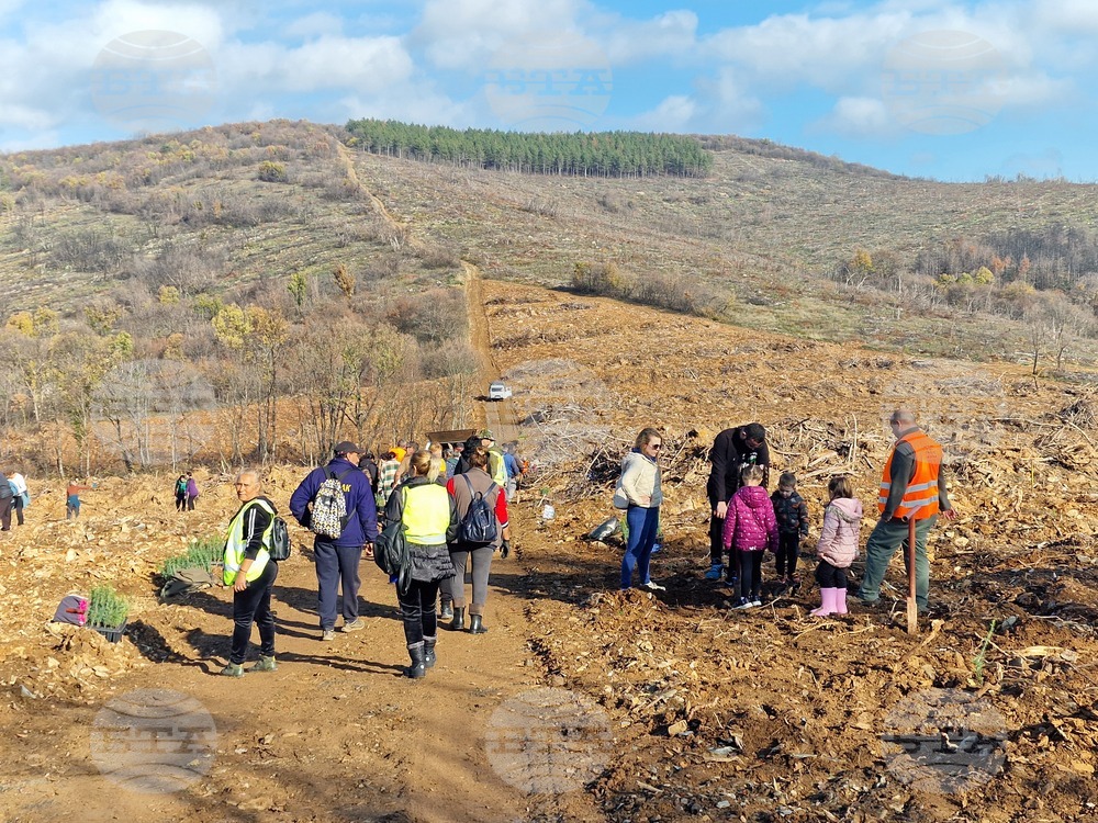 Стара Загора - Седми километър - залесяване