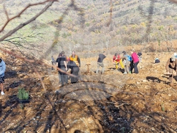 Стара Загора - Седми километър - залесяване