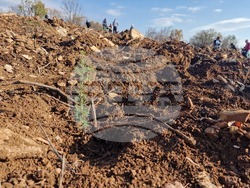 Стара Загора - Седми километър - залесяване