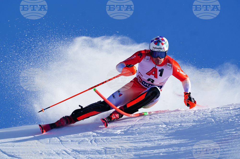 Austria Alpine Skiing World Cup