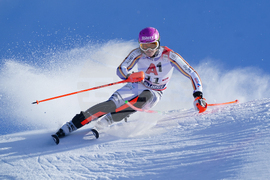 Austria Alpine Skiing World Cup