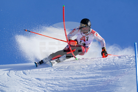 Austria Alpine Skiing World Cup