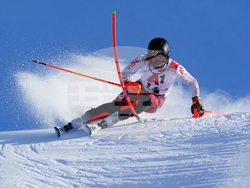 Austria Alpine Skiing World Cup