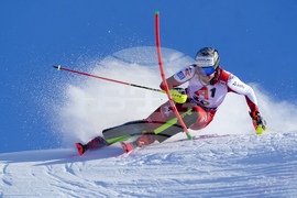 Austria Alpine Skiing World Cup
