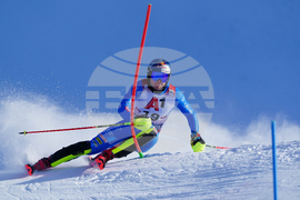 Austria Alpine Skiing World Cup