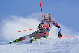 Austria Alpine Skiing World Cup