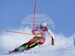 Austria Alpine Skiing World Cup