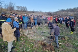 Велико Търново - Залесяване на местността Гарга баир