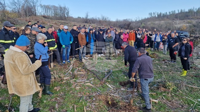 Близо 180 доброволци залесиха с над 10 000 фиданки изгорялата местност Гарга баир край Велико Търново и Арбанаси