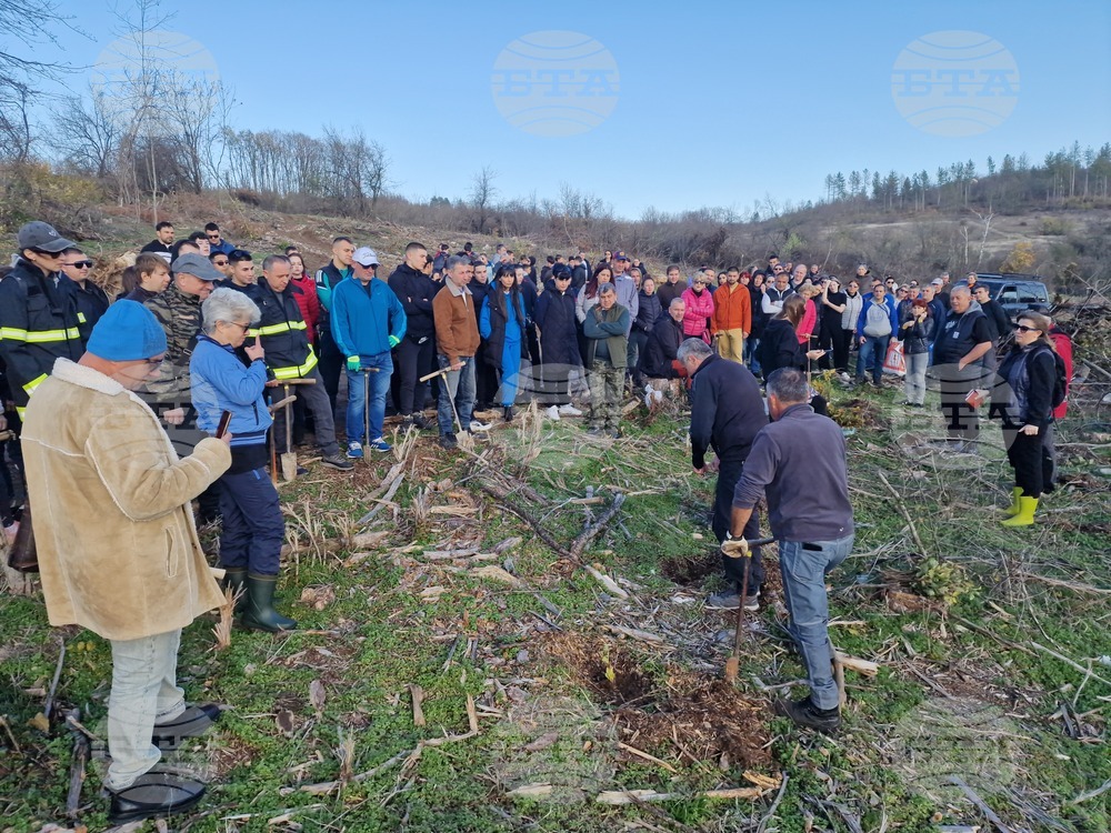 Близо 180 доброволци залесиха с над 10 000 фиданки изгорялата местност Гарга баир край Велико Търново и Арбанаси