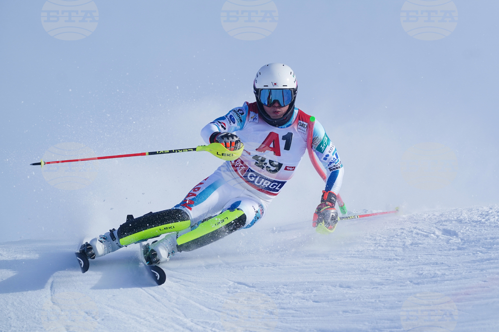 Austria Alpine Skiing World Cup