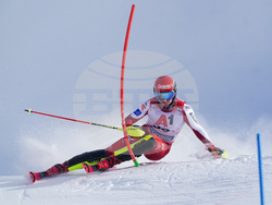 Austria Alpine Skiing World Cup