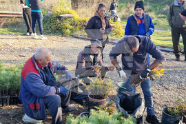 Велико Търново - Гарга баир - залесяване