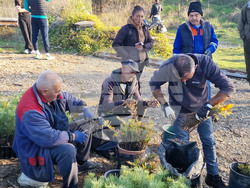Велико Търново - Гарга баир - залесяване