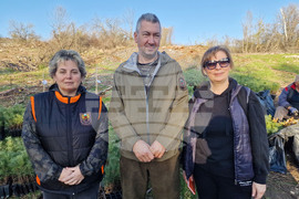 Велико Търново - Гарга баир - залесяване