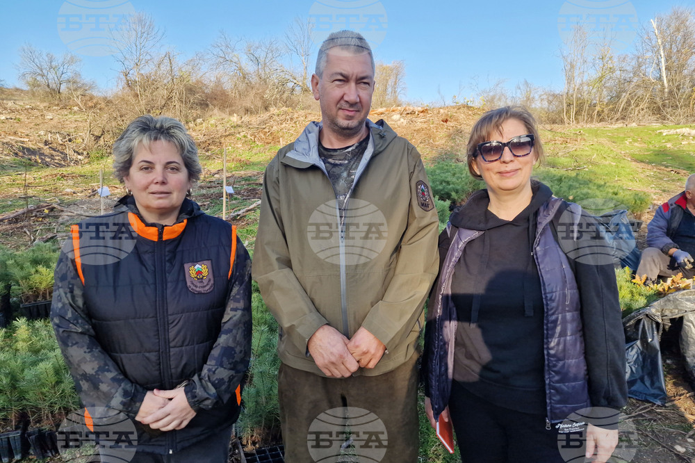 Велико Търново - Гарга баир - залесяване