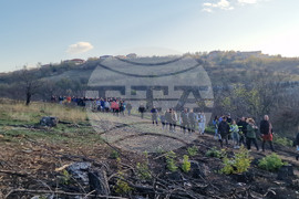 Велико Търново - Гарга баир - залесяване