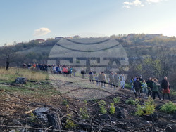 Велико Търново - Гарга баир - залесяване