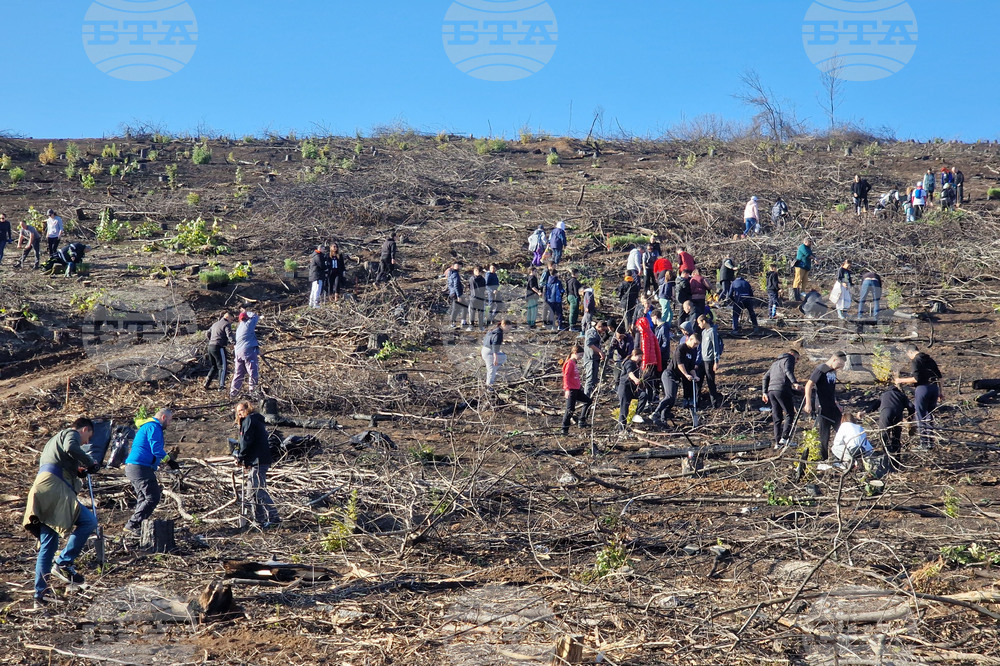 Велико Търново - Гарга баир - залесяване
