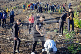 Велико Търново - Гарга баир - залесяване