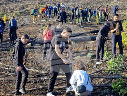 Велико Търново - Гарга баир - залесяване