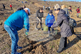 Велико Търново - Гарга баир - залесяване