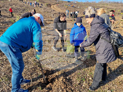 Велико Търново - Гарга баир - залесяване