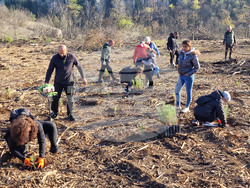 Велико Търново - Гарга баир - залесяване